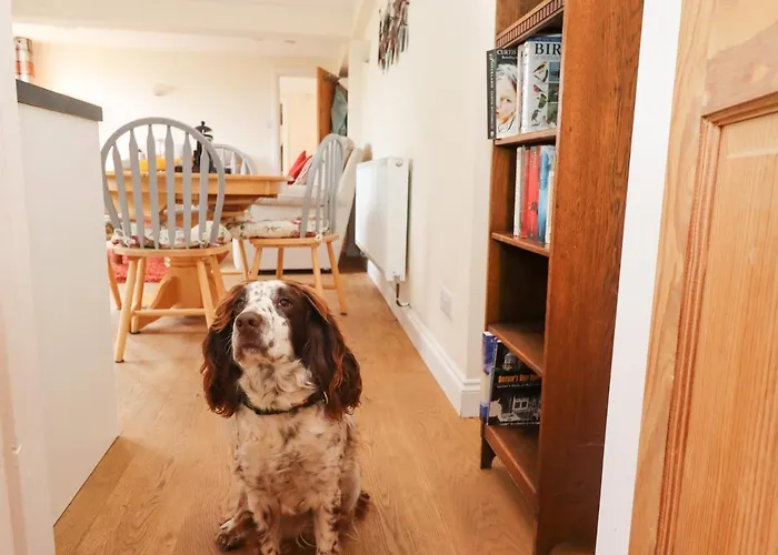 Lägenhet The Garden